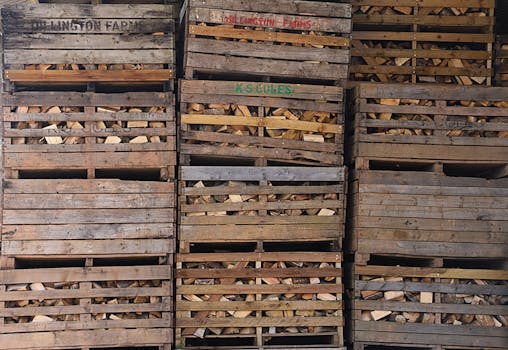 Beyond the Panel: Why Home Solar Energy Storage Batteries Are Your Next Smart Move