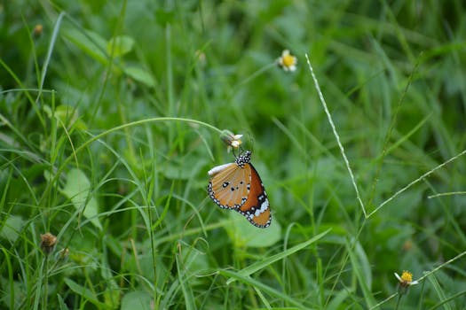 Mastering “Delhi Loan King Satta”: Beyond the Numbers