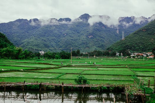 Beyond the Drip: Deconstructing the Art of Water-Efficient Irrigation Systems