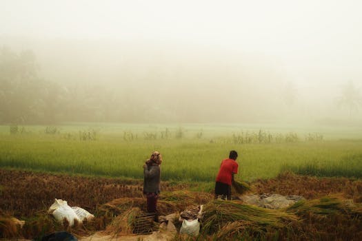 Beyond the Boardroom: Mastering the Manhattan Business Hotel for the Modern Man