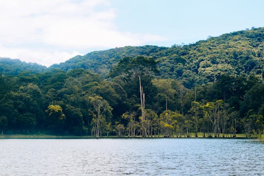 The End of the “Almost Hot” Shower: Why Tankless Water Heaters Are a Game-Changer