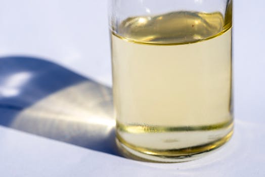 Your Ticket to a World of Learning: Making the Most of ACU Study Abroad