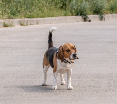 The Unseen Hand: What a White Collar Crime Attorney Really Does