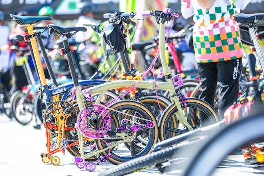 Beyond the Binary: Navigating the Nuances of the DD/LG Lifestyle