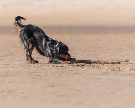 When Your Rig Cries Uncle: Navigating the Most Demanding PC Games