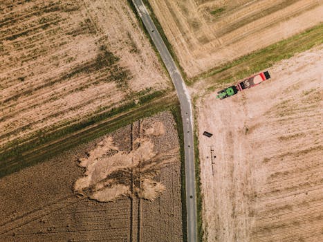 Beyond the Fender Bender: Why Truck Accident Claims Demand Specialized Legal Expertise